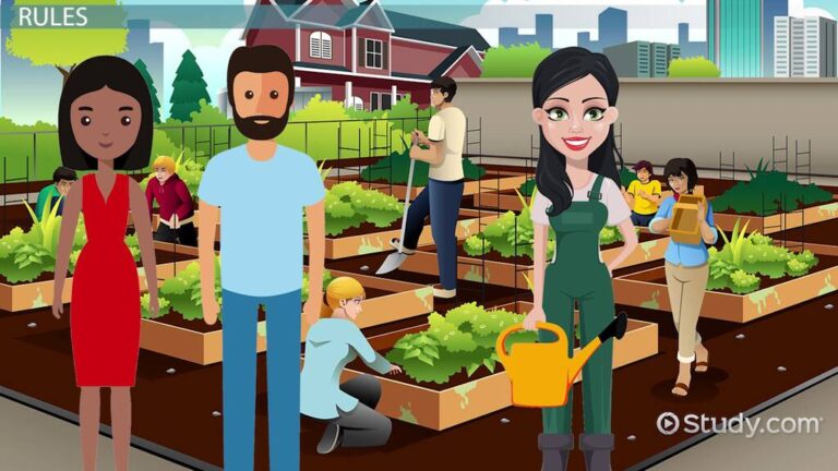 5 Importance of Kitchen Garden: Transform Your Home with Fresh Produce