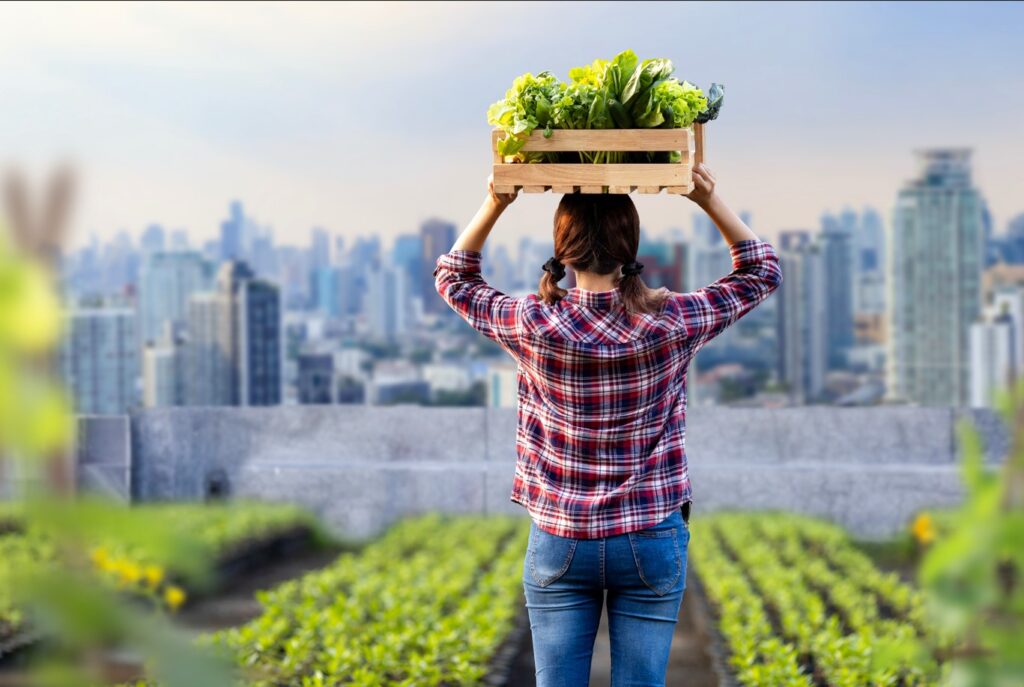 How to Start a Rooftop Vegetable Garden Step by Step Ultimate Guide for Urban Gardeners