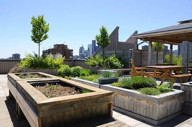 Rooftop Garden Structural Requirements