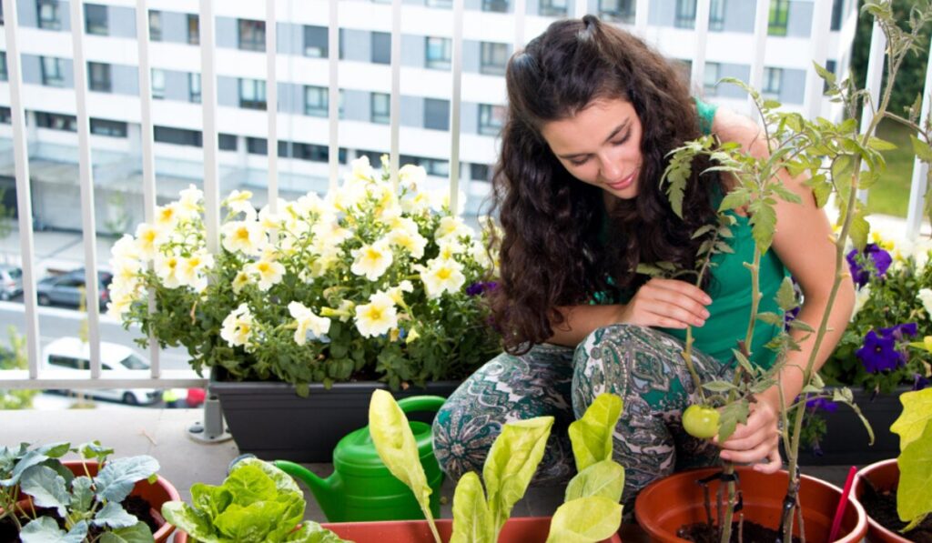 How to Start Kitchen Garden at Home