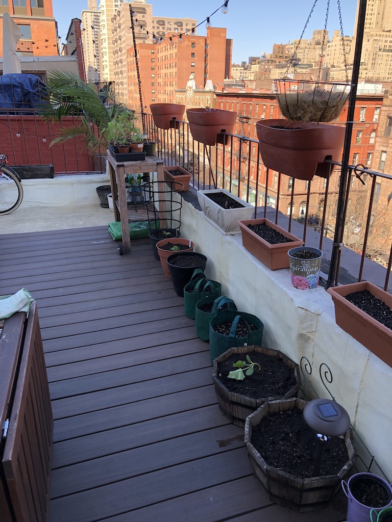 Best Fruits Rooftop Garden: Top Picks for Urban Harvesting