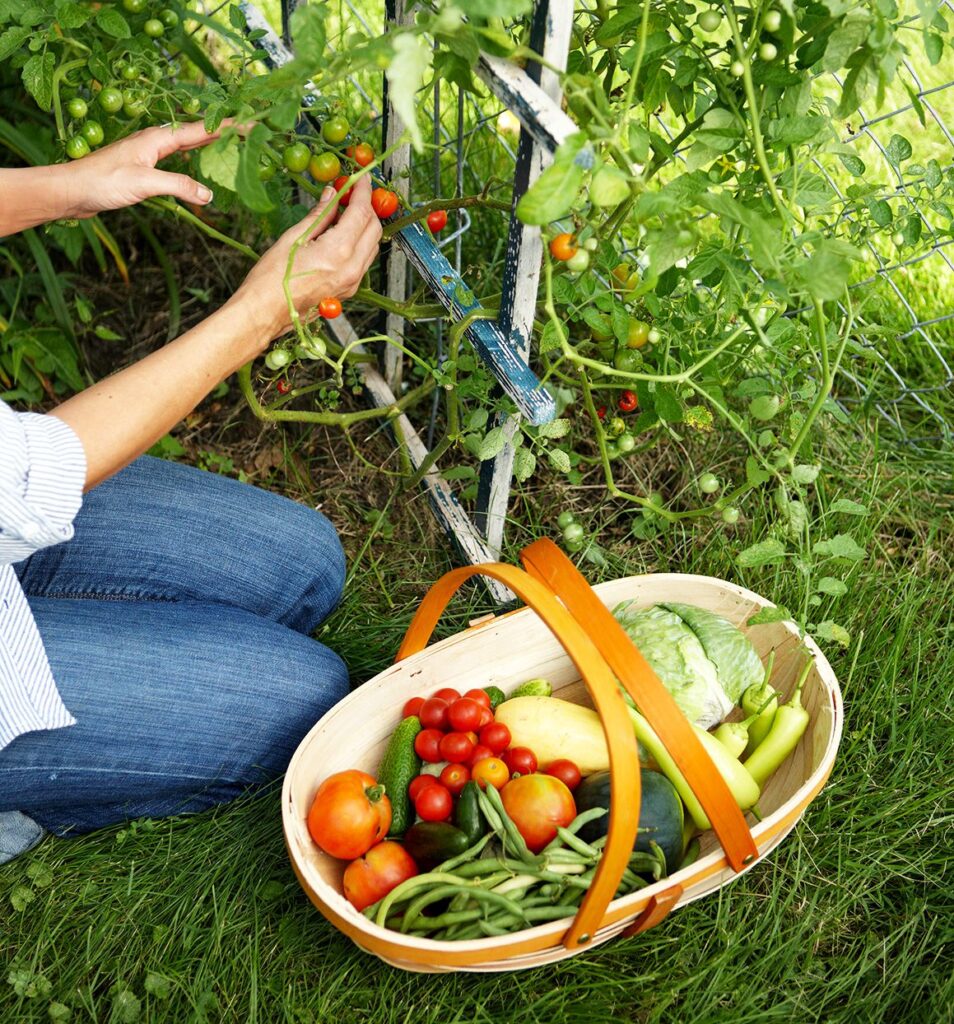 How to Make Kitchen Garden Vegetables