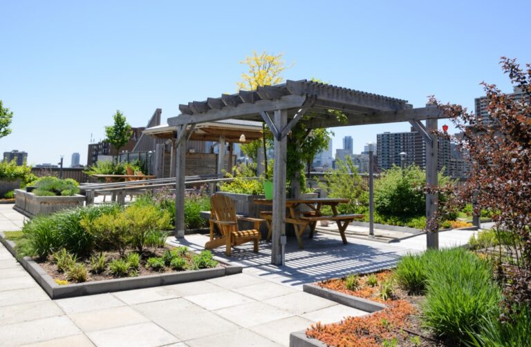 Advantages And Disadvantages of Rooftop Gardening: Pros and Cons Unveiled