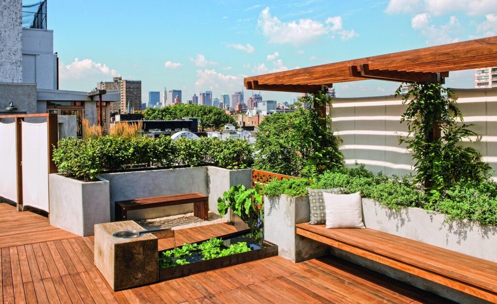 the Importance of Vegetable Gardens on the Rooftop