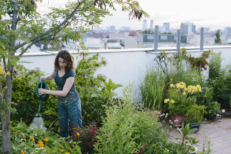 Rooftop Garden Requirements: Essential Tips for Creating a Stunning Rooftop Garden