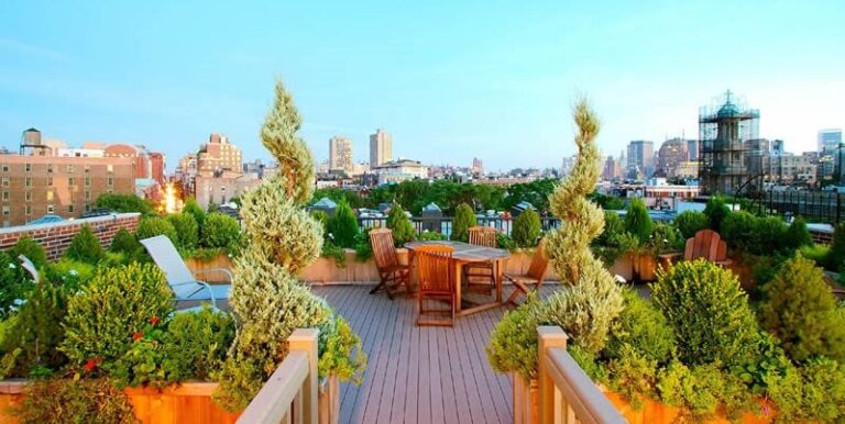 Types of Roof Gardening: Ultimate Guide for Urban Gardeners