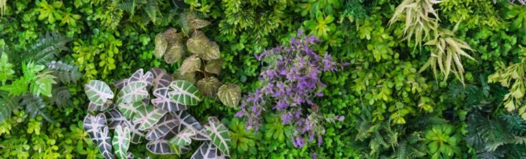 What to Grow on a Rooftop Garden: Lush Green Choices