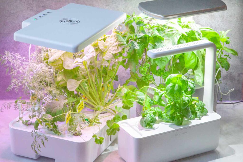 Where Can I Buy an Indoor Herb Garden