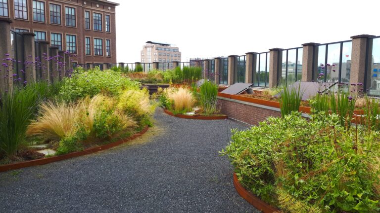 Why are Rooftop Gardens Sustainable