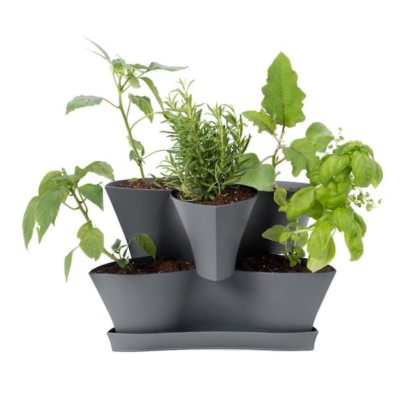 Bloem Self Watering Planter: Maximize Your Plant Growth