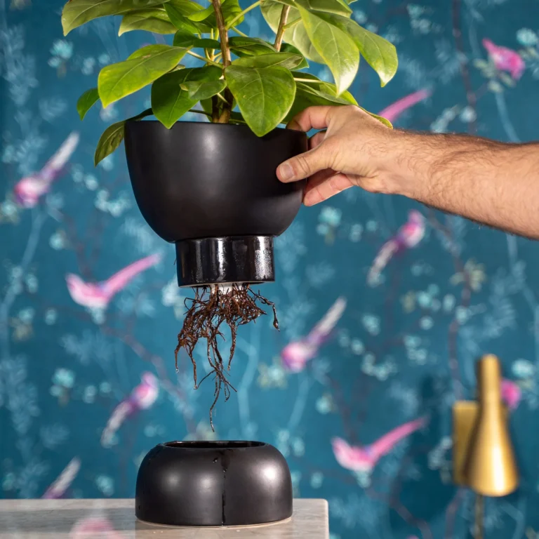 Ceramic Self Watering Planter