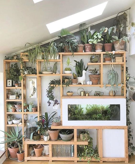 Indoor Planting Shelves